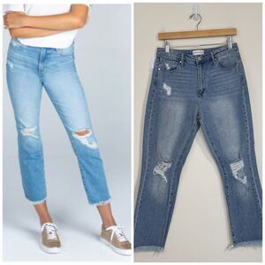 ARTICLES of SOCIETY Distressed Kate High Rise Cropped Jeans Size 26 Eden Frayed